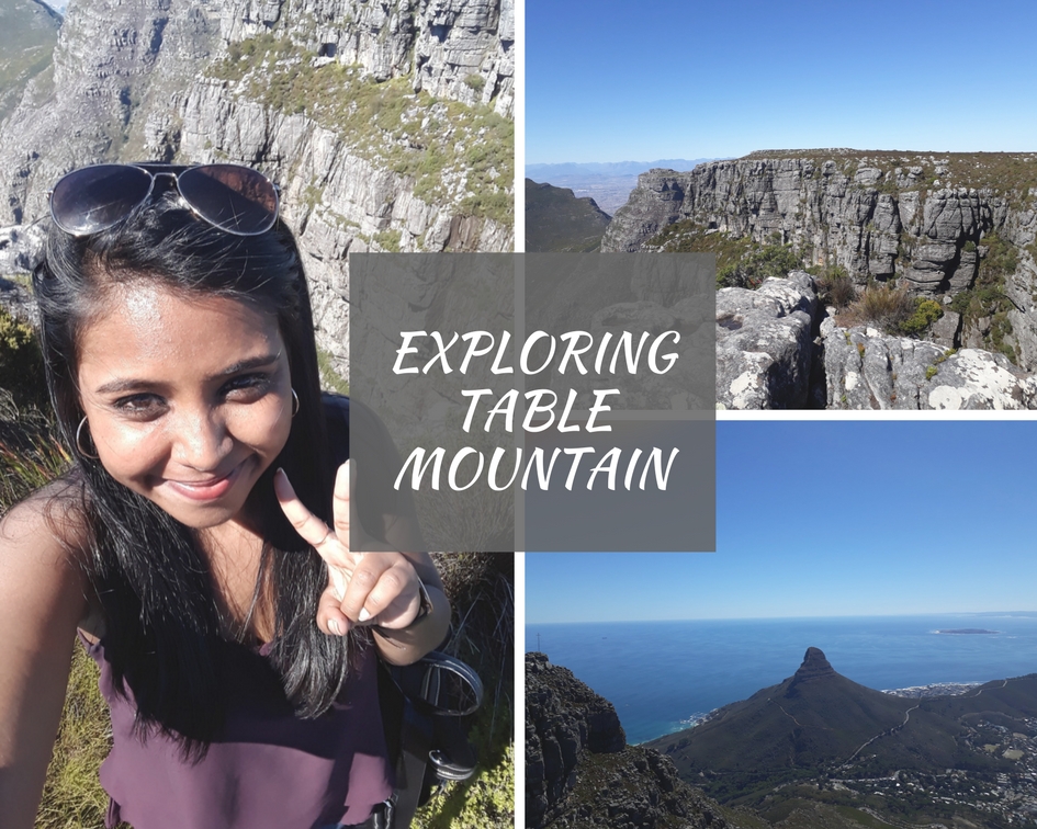 Exploring Table Mountain LIFE OF SHAL