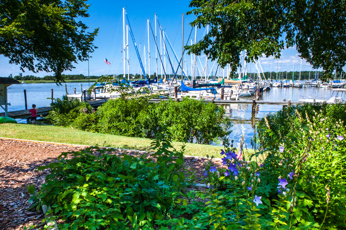 Rock Hall, MD, A Little Town but a Lot of Fun (July 13 July 18, 2017