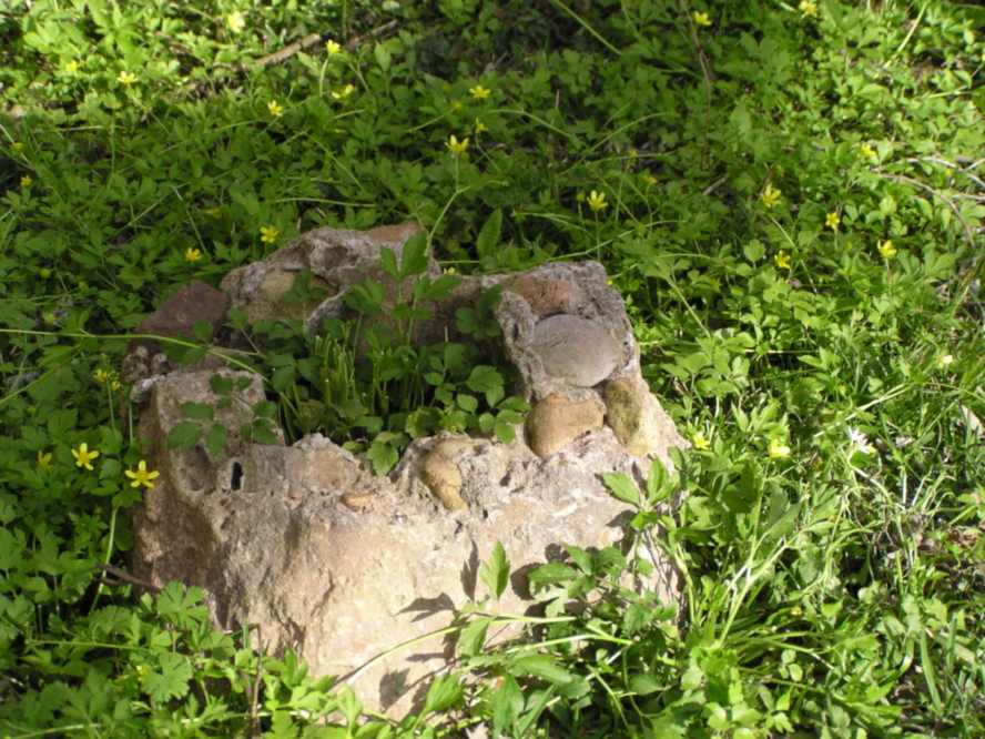 Sugar Land RR at Juliff, Texas