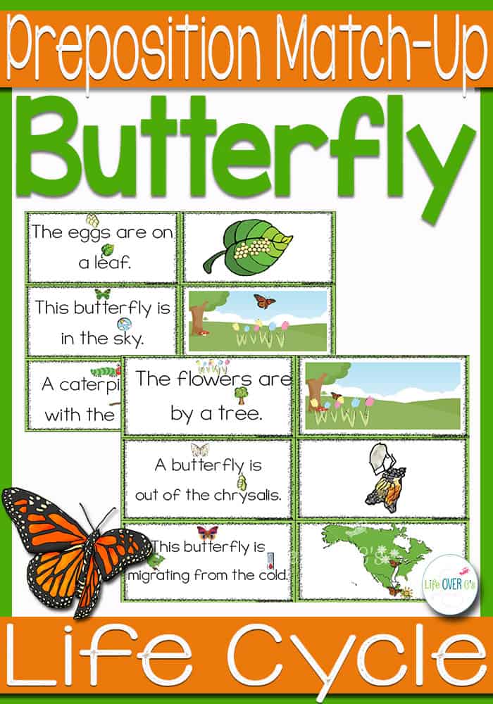 Butterfly LifeCycle Preposition Match Up Life Over Cs