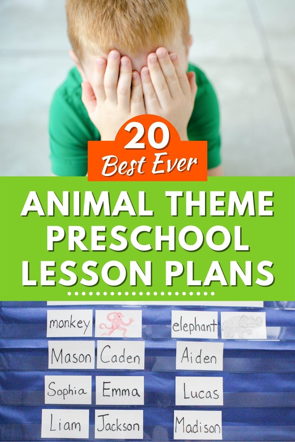 25 Fun Animal Theme Preschool Lesson Plans