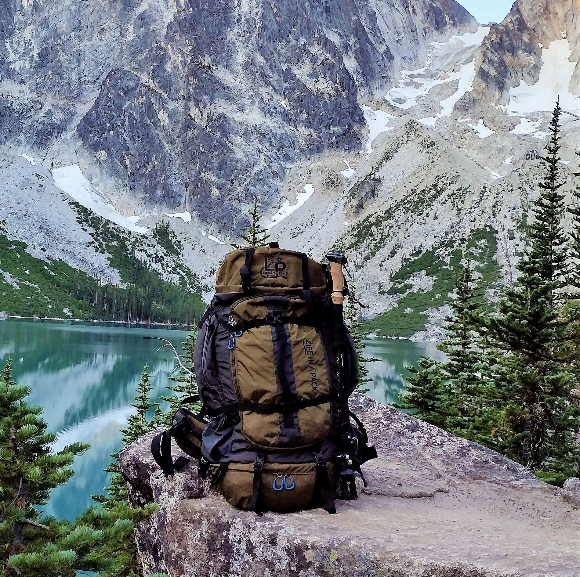 Home - Life In A Pack