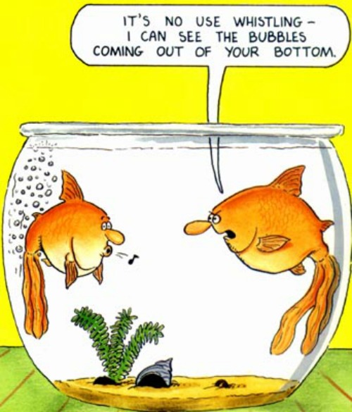 Funny Friday Bubbles Life Palette