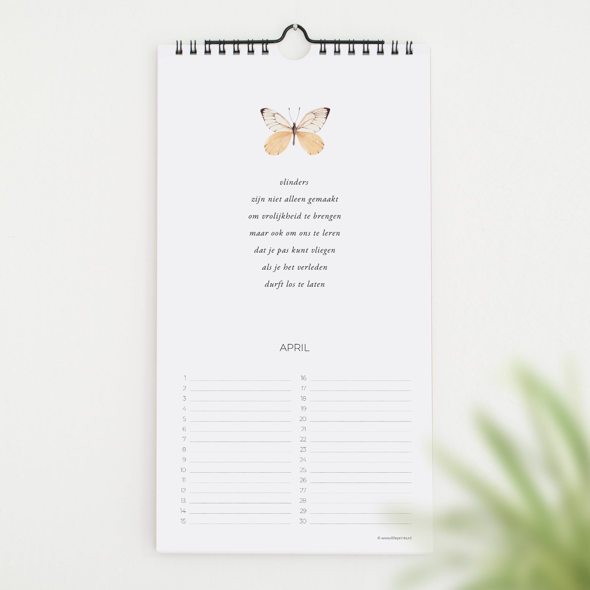 Nieuw Lifeprints verjaardagskalender 'Bloom in Grace' Lifeprints