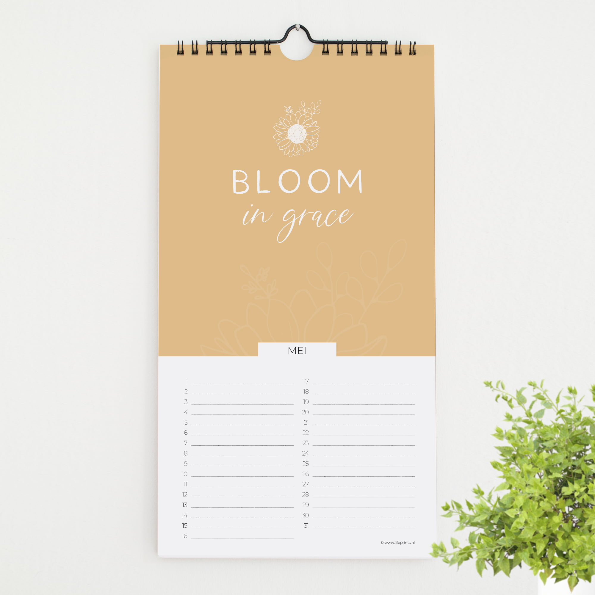 Nieuw Lifeprints verjaardagskalender 'Bloom in Grace' Lifeprints