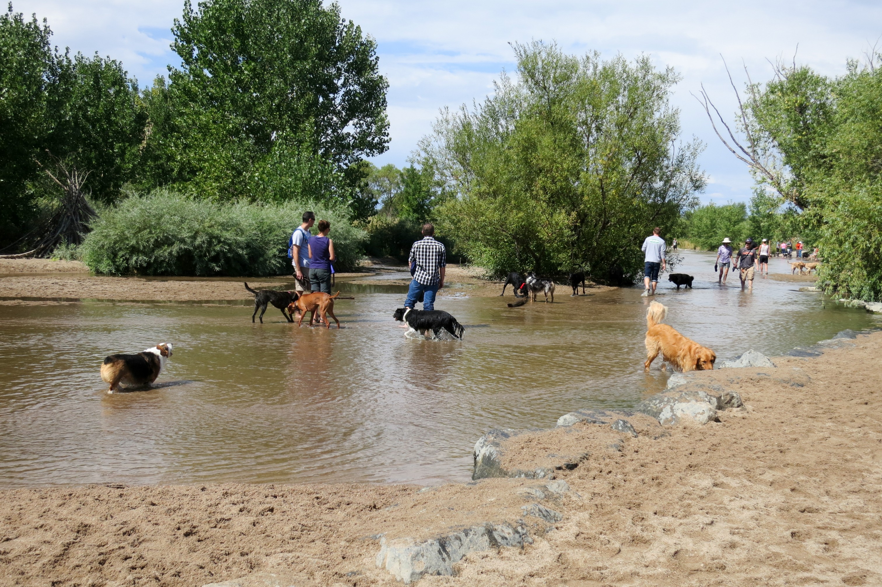Life Rebooted Denver and our first 14er