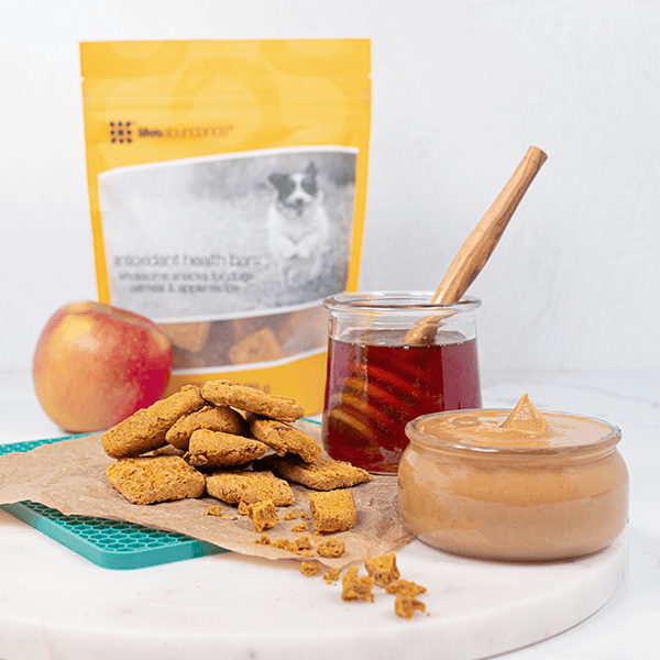Antioxidant Health Bars Wholesome Baked Dog Treats