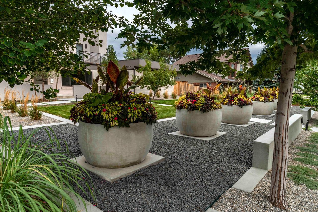 Defined Zen Lifescape Colorado