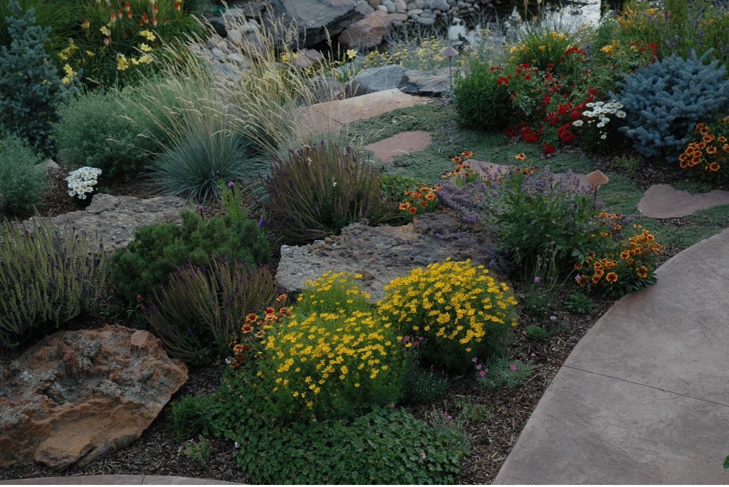 5 Secrets to the Perfect Xeric Garden Lifescape Colorado
