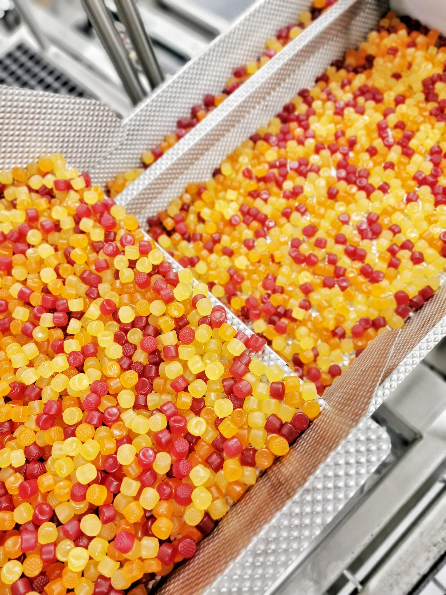 Gummy Supplements Probiotic Gummies Life Science Nutritionals