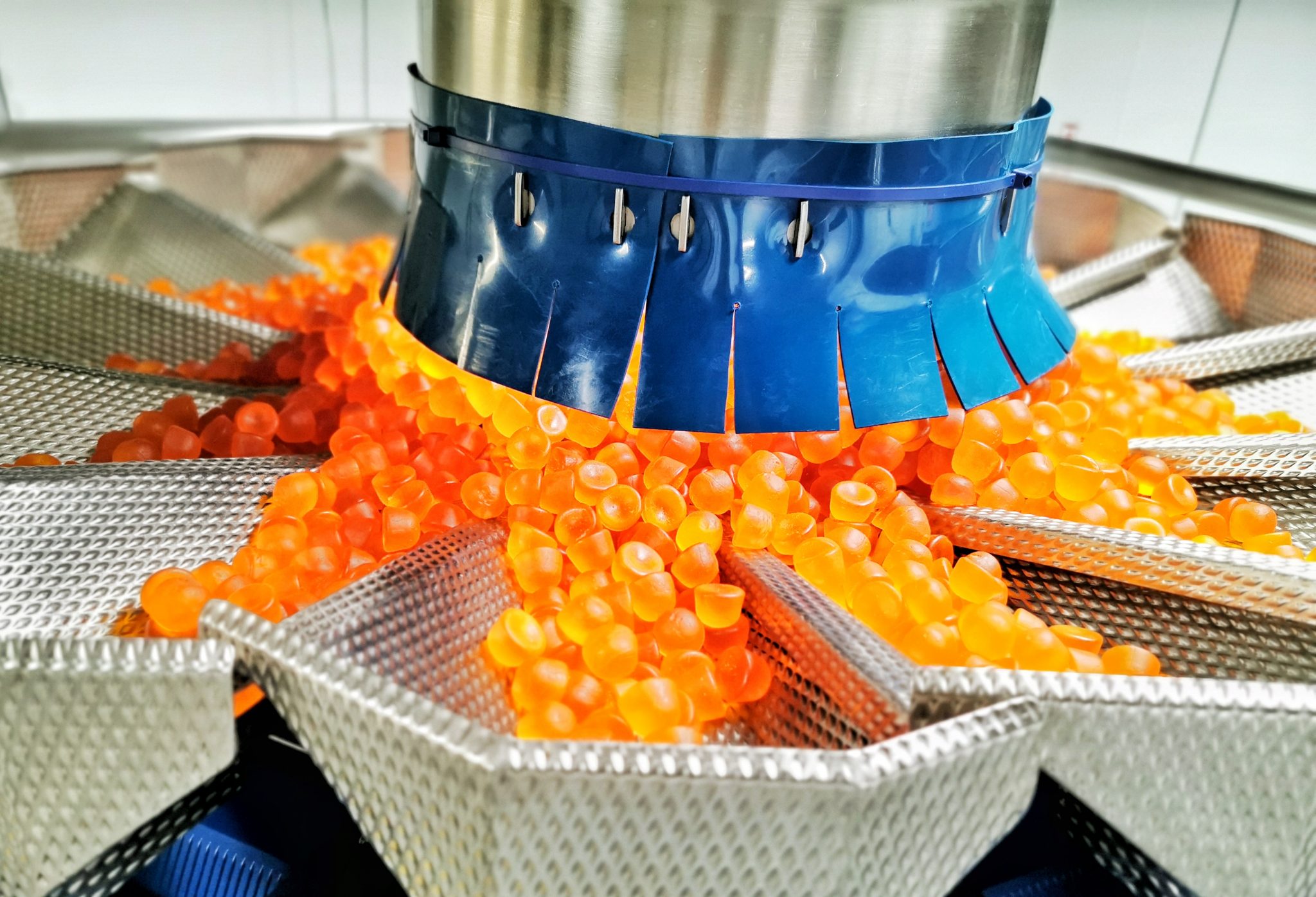 Gummy Supplements Probiotic Gummies Life Science Nutritionals