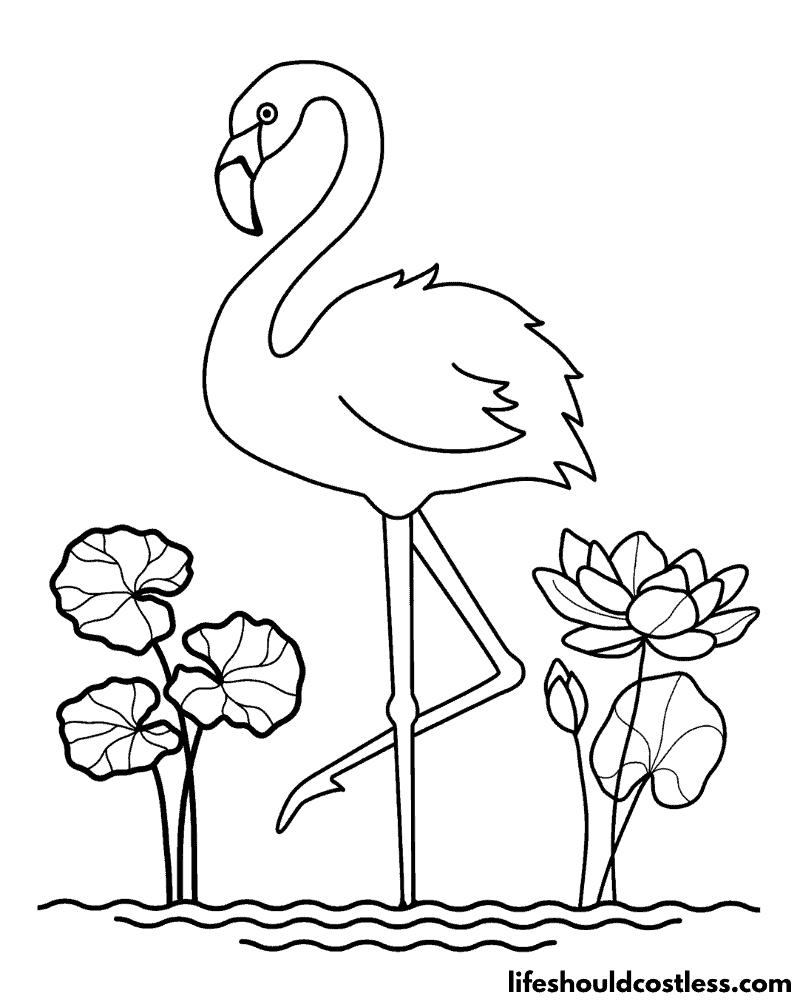 Flamingo Coloring Pages (free printable PDF templates) Life Should