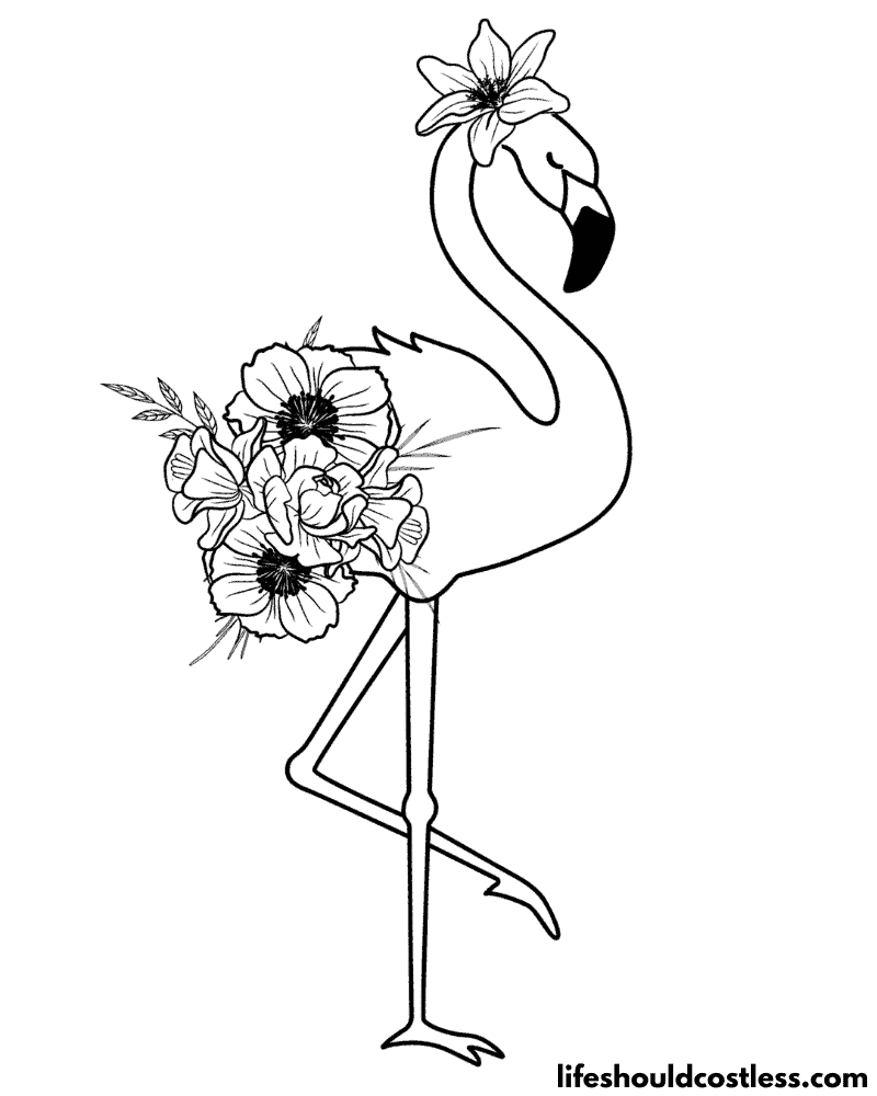 Cute Flamingo Coloring Pages