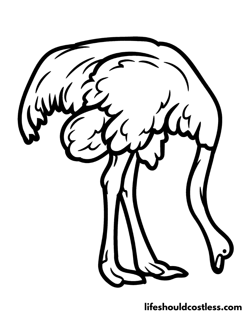 Ostrich Coloring Pages (free printable PDF templates) Life Should Cost Less