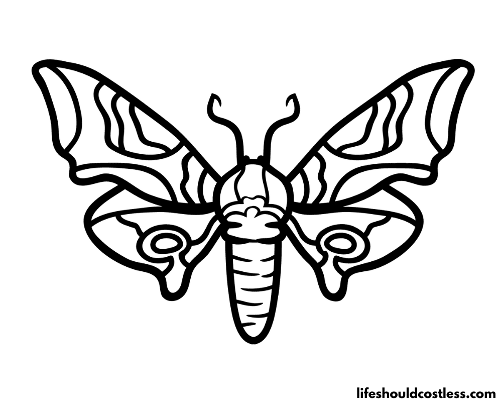 Moth Coloring Pages (free printable PDF templates) Life Should Cost Less