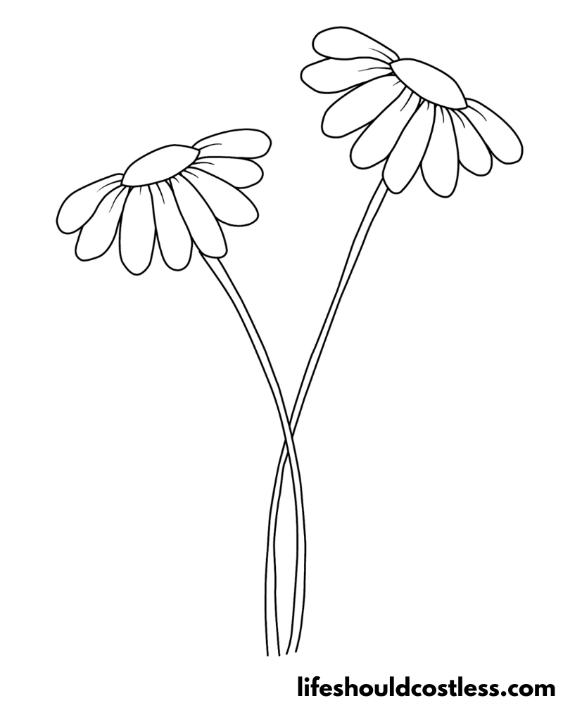 Daisy Coloring Pages (free printable PDF templates) Life Should Cost Less
