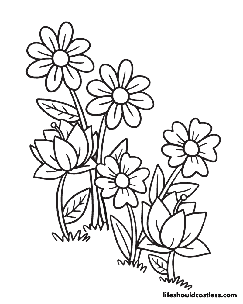 48 Daisy Flower Garden Journey Coloring Pages vrogue.co