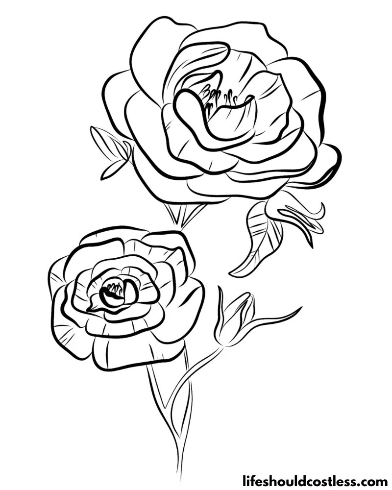Rose Coloring Pages (free printable PDF templates) Life Should Cost Less