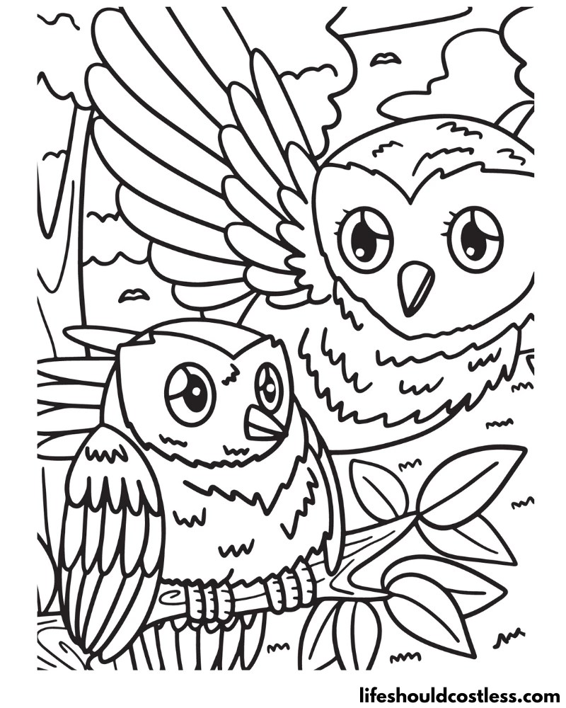 Owl Coloring Pages (free printable PDF templates) Life Should Cost Less