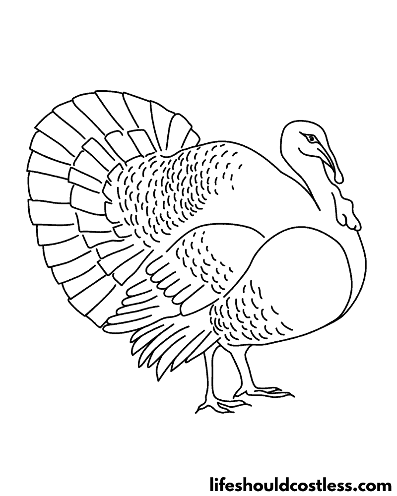 Turkey Coloring Pages (free printable PDF templates) - Life Should Cost