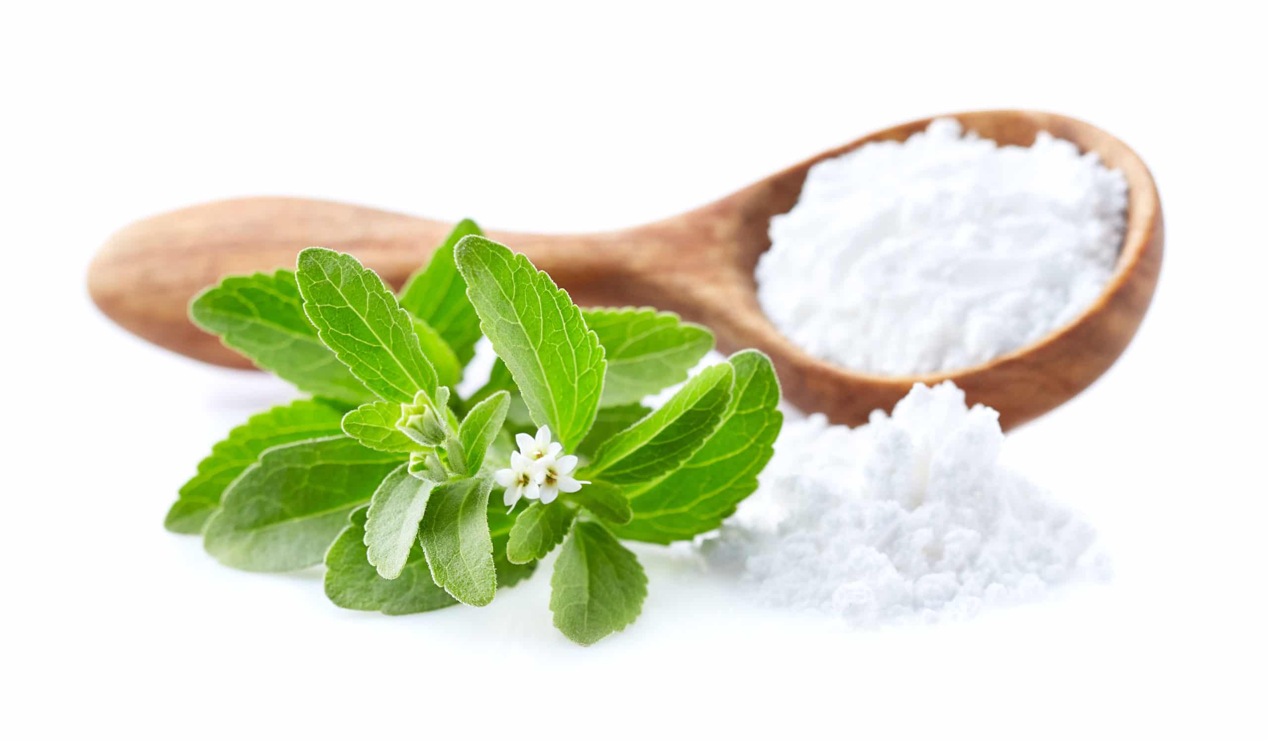 Stevia Too Good to be True? John Douillard's LifeSpa