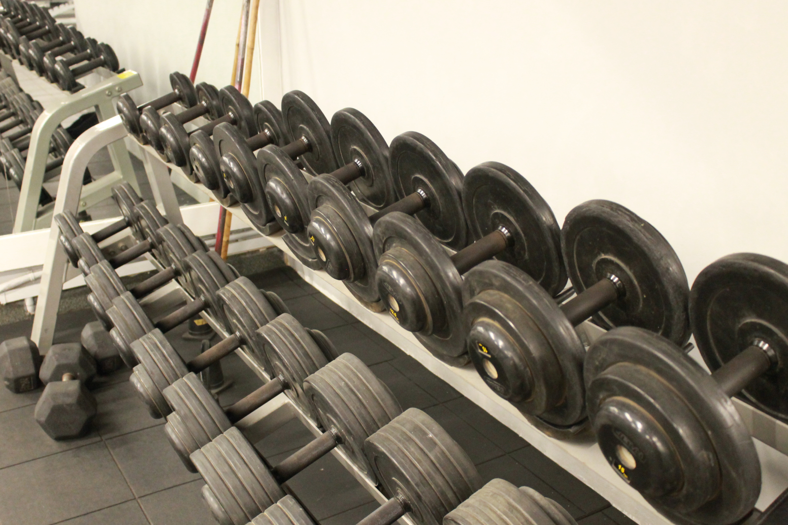 Lifespring360 Best Gym in Coimbatore