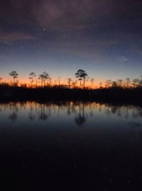 Sunset in swamp