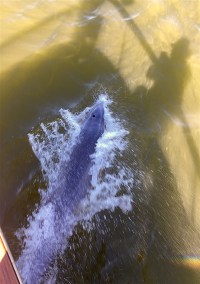 IMG_0243