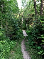 Maple Tree Loop in Ferris Provincial Park