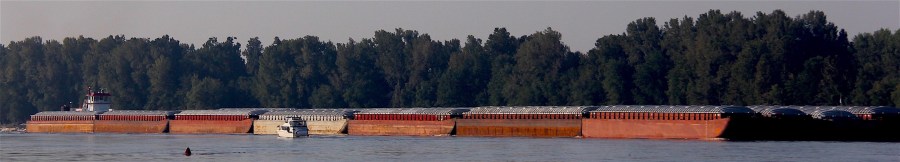 35 barges vs. trawler – barges win!