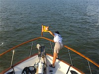 Two dolphins on the bow 