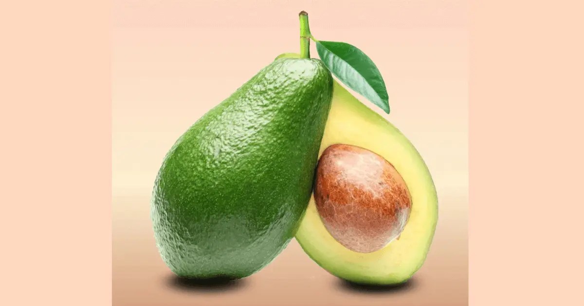 Avocado Fruit (Pear) Types and Health Benefits Lifestyle Metro