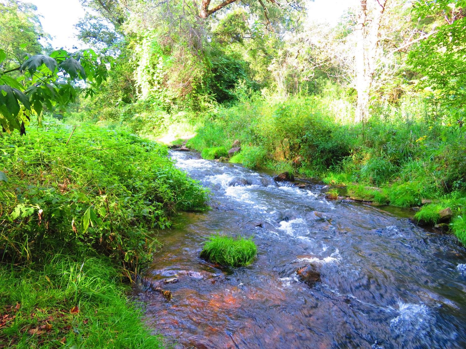 Where In Iowa Manchester Lifetime Journeys