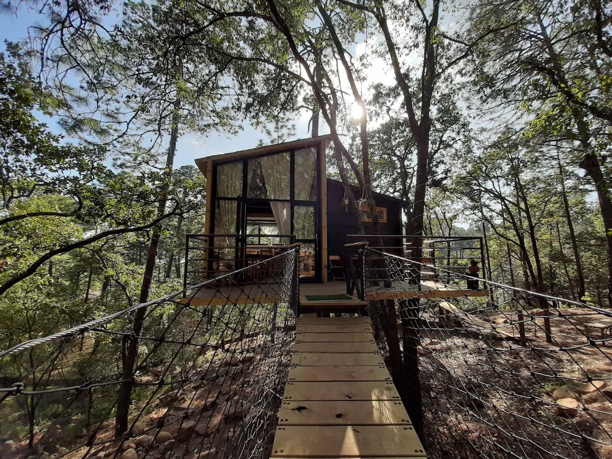 The Most Beautiful Tree House Example Life Tiny House