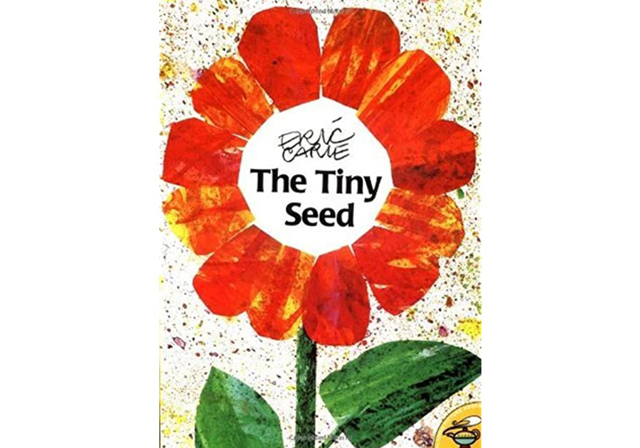TheTinySeed Life Tools Tutoring