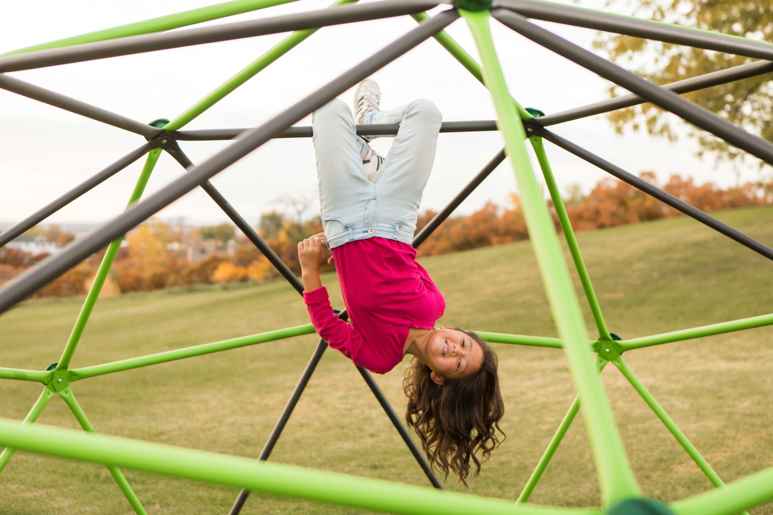 Lifetime Kid’s Dome Climber, Mantis Green and Bronze LifeToyZ