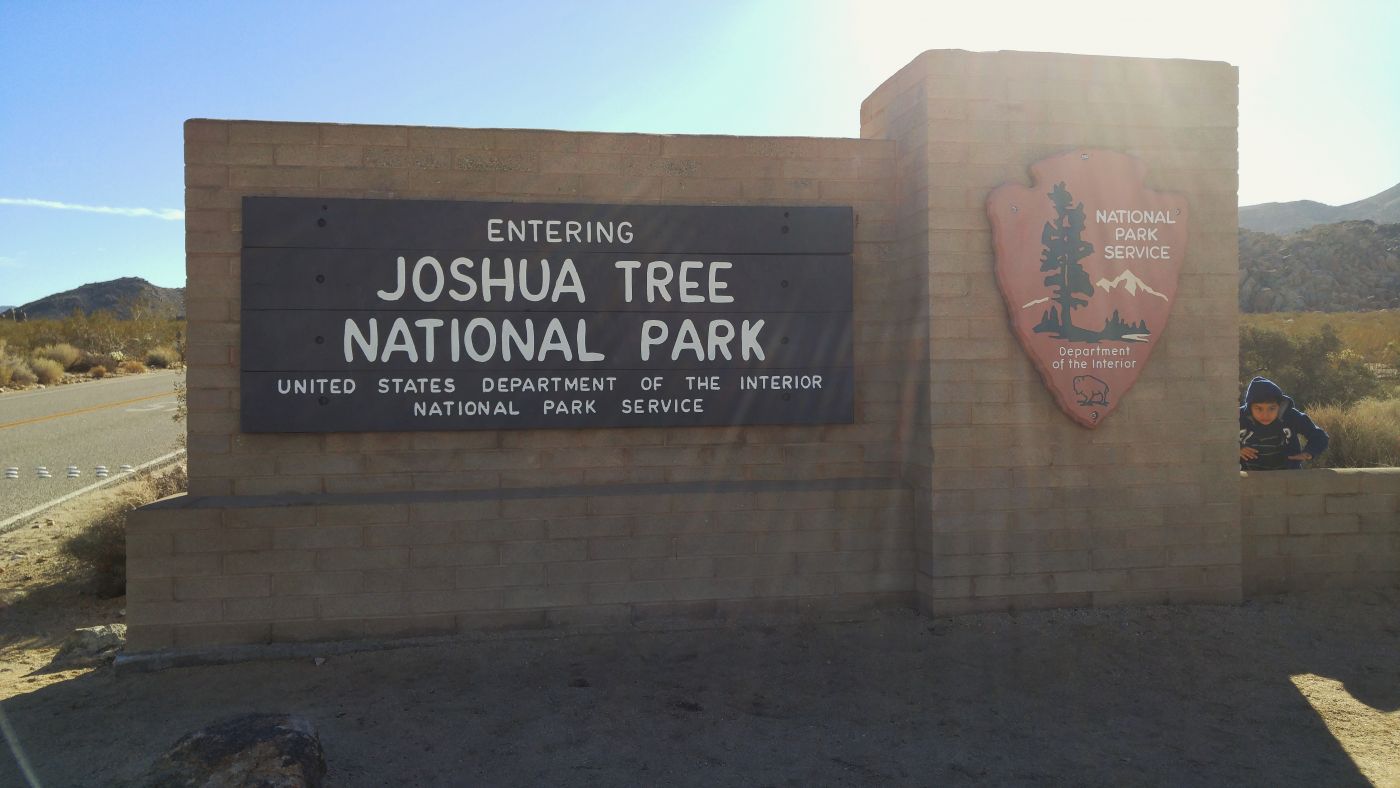 Among the Coolest Joshua Tree National Park Life Untethered