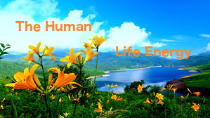 Human Life Energy