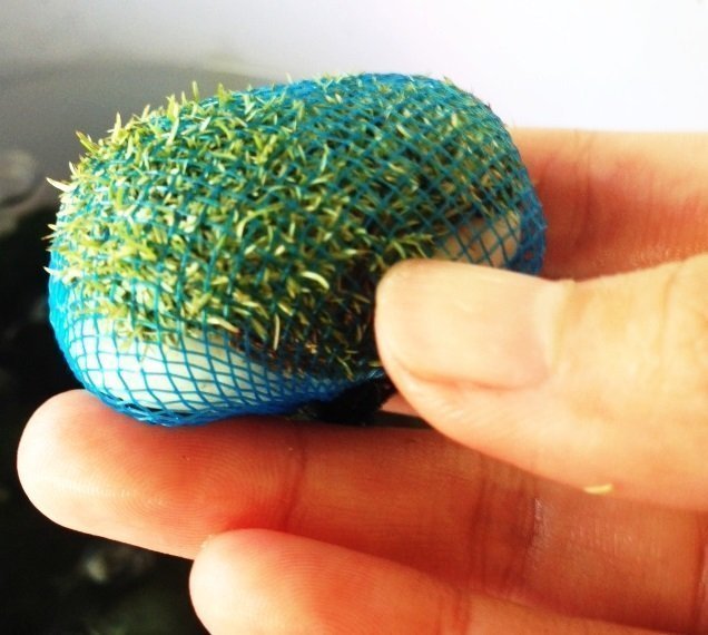 Aquarium Plant Net Fauna Safe LifewithAqua