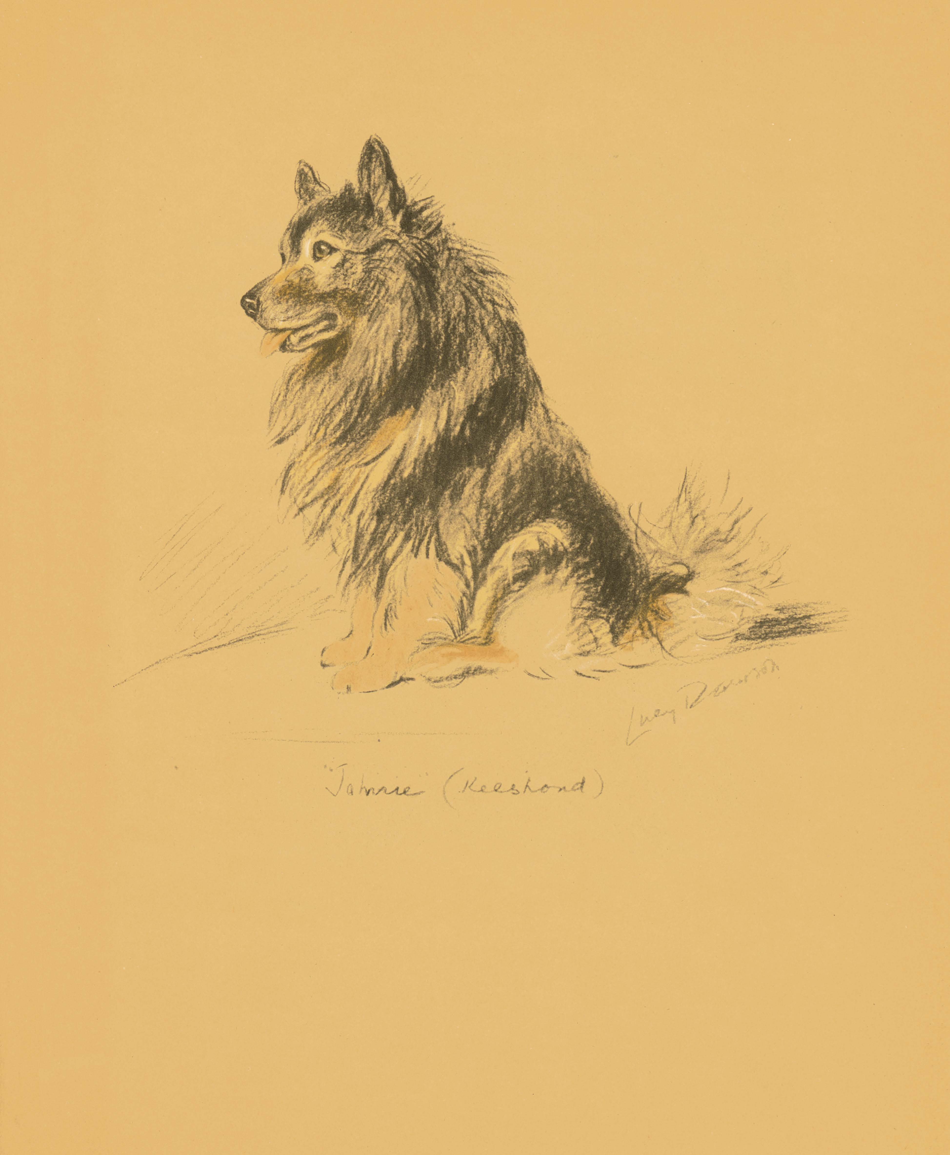 Dogs Rough and Smooth A Great Gift Book For Your DogLoving Friends