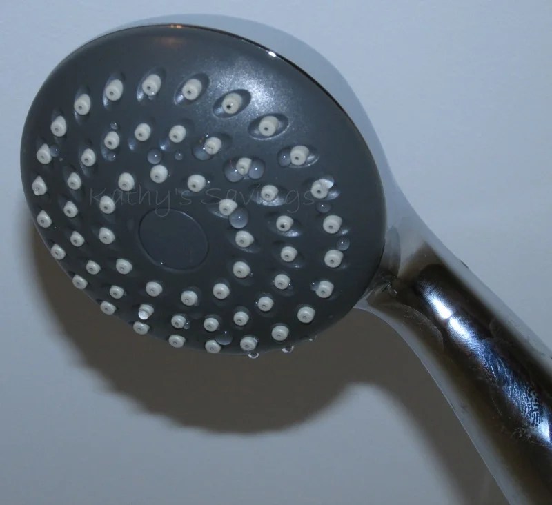 Rejuvenator Micro Bubble Hand Held Showerhead Review Life With Kathy