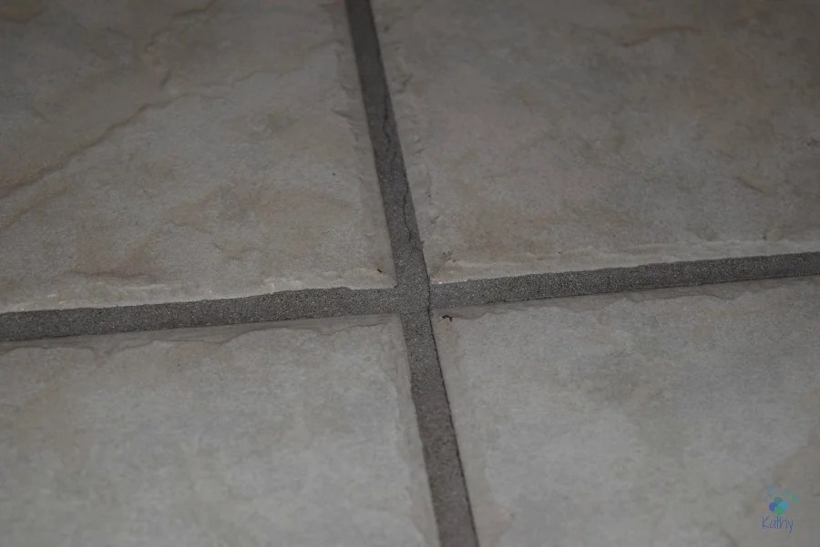 Cleaning With Rock Doctor Life With Kathy