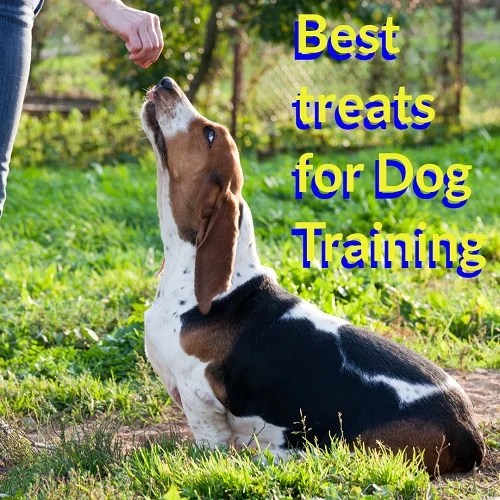 Best Treats For Dog Training with Recipe Life With My Dogs