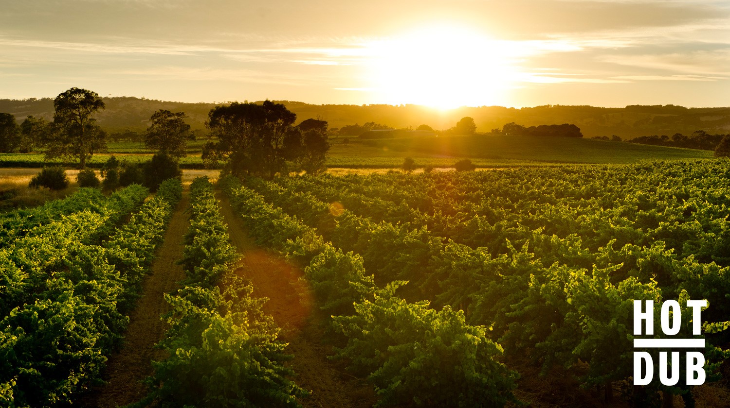 Hot Dub Time Machine Is Morphing Into 'Hot Dub Wine Machine' For A New