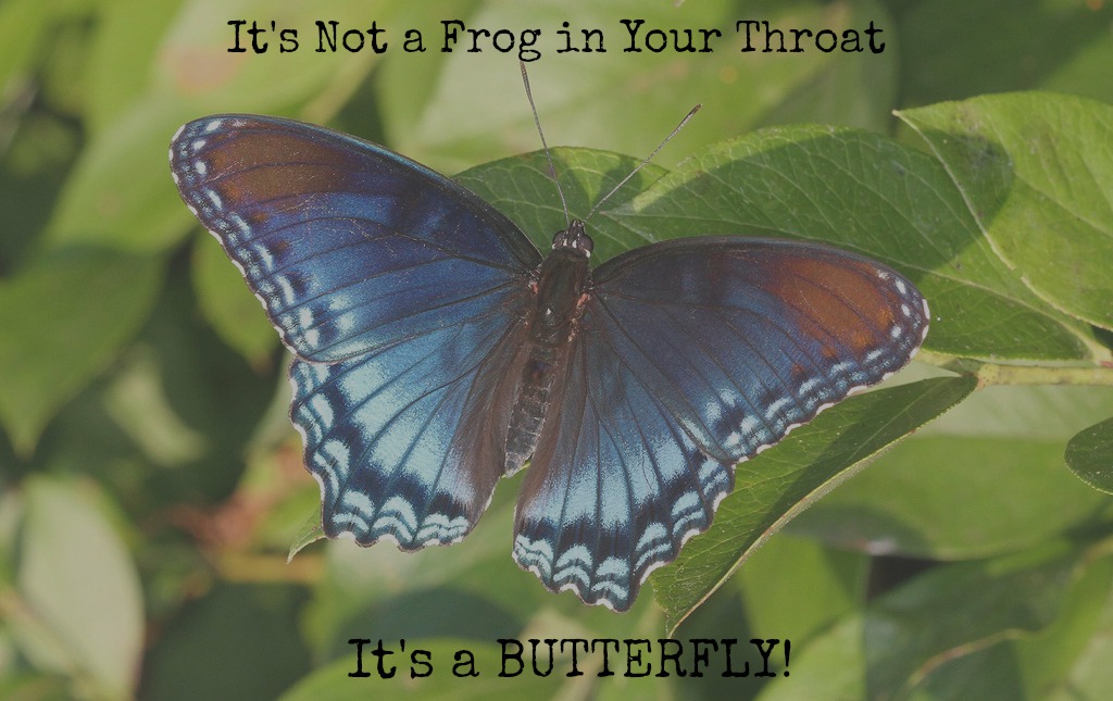 I Have a Butterfly in My Throat