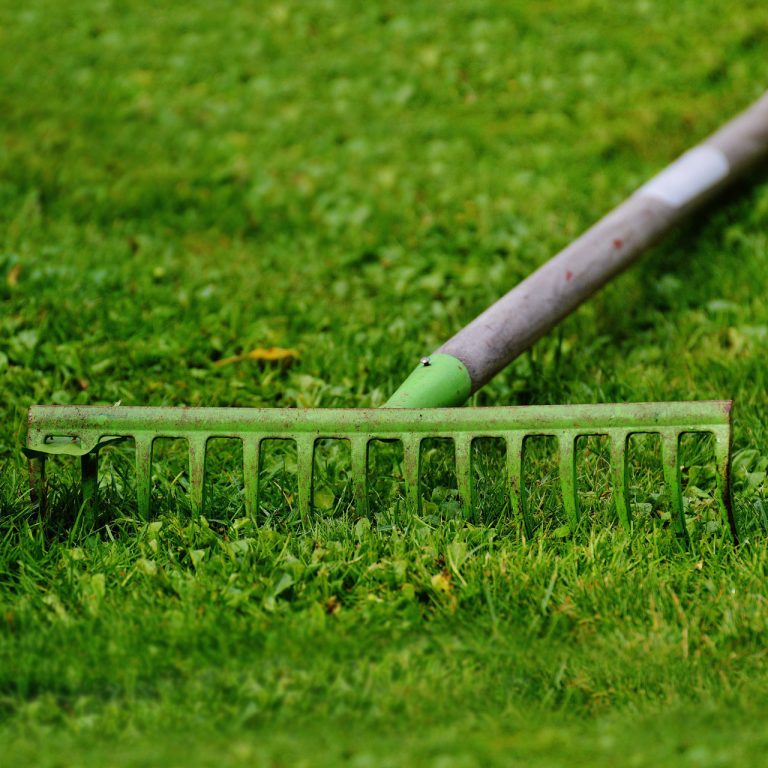 COMO Construction & Landscaping Seasonal CleanUp Columbia MO