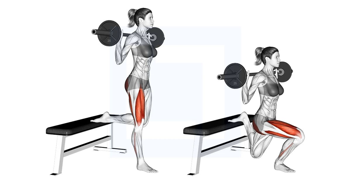 Barbell Single Leg Split Squat Guide, Benefits, and Form