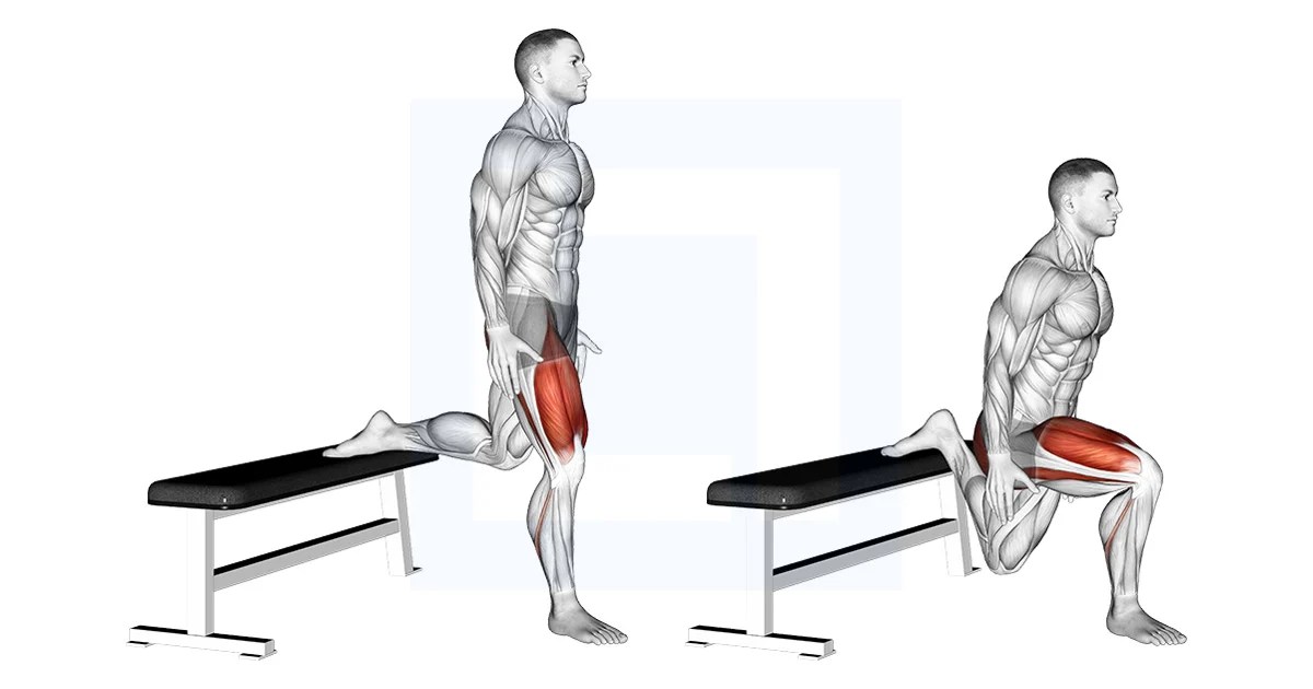 Bulgarian Split Squat Form For Glutes ganalytic