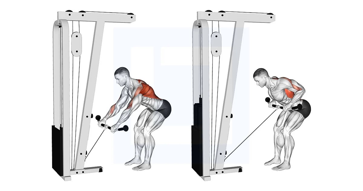 Cable Bent Over Row Guide, Benefits, and Form