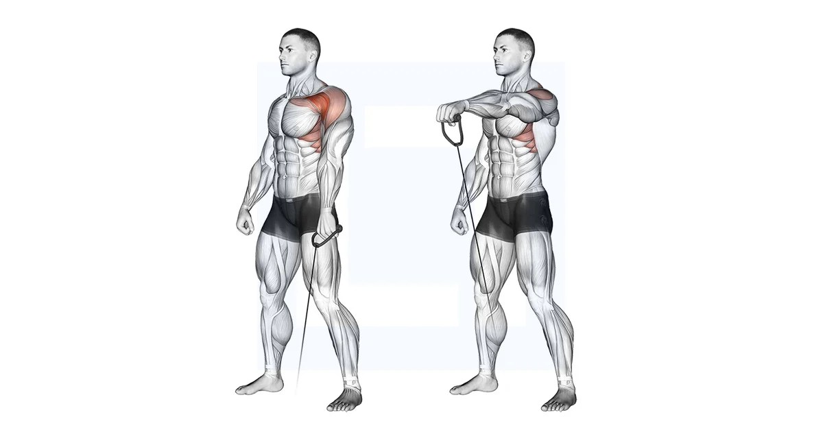 Cable Forward Raise Guide, Benefits, and Form
